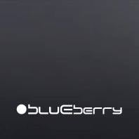 Blueberry