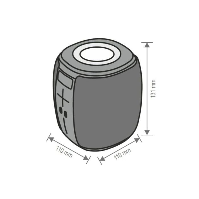 BT1000
