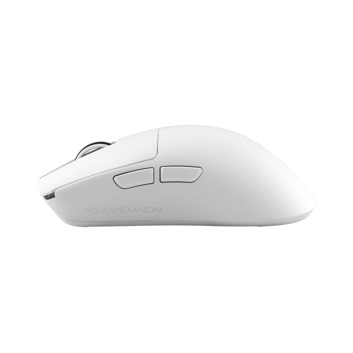 WHITE-SHARK-7016