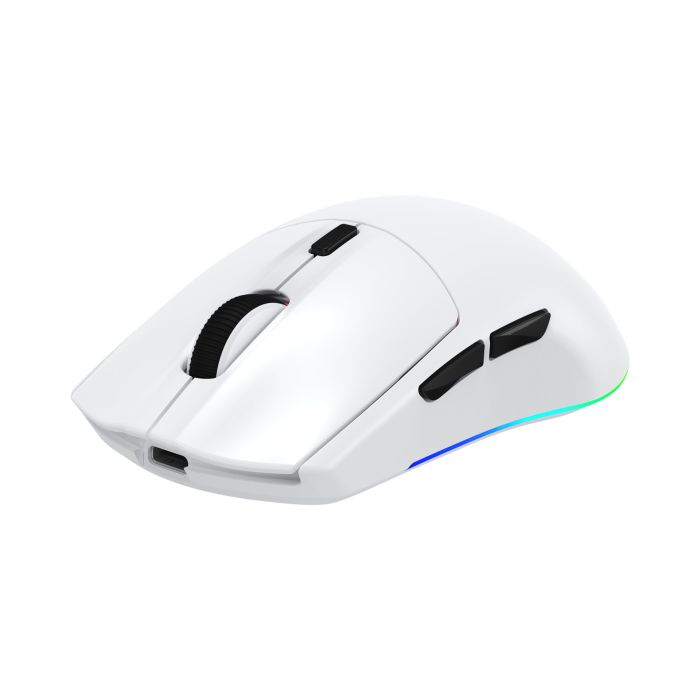 WHITE-SHARK-6378