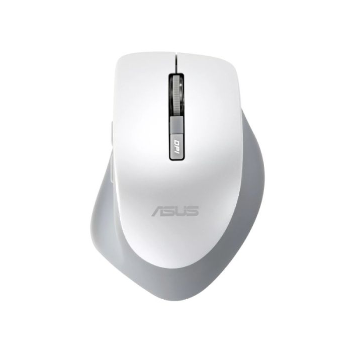 MIS02295