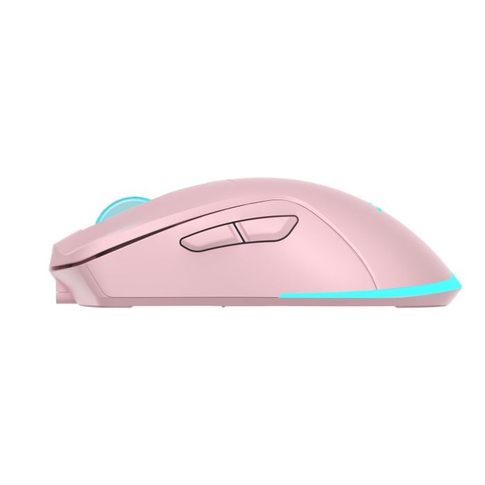 WHITE-SHARK-BARACUDA-BGM-124-PINK