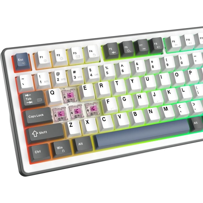 WHITE-SHARK-GK-007251-WHITE