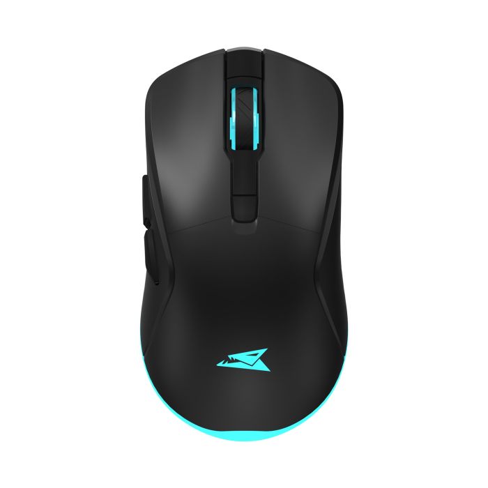 WHITE-SHARK-BARACUDA-BGM-121-BLACK