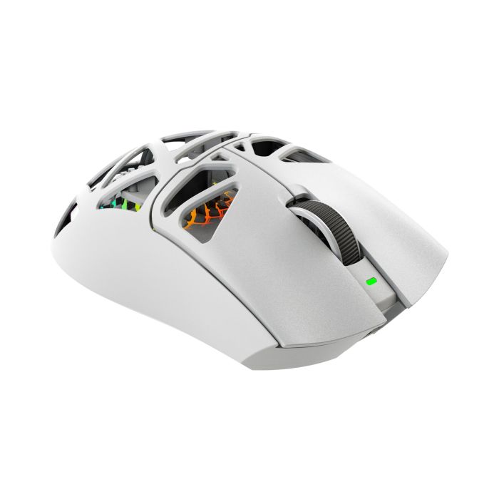 WHITE-SHARK-6376