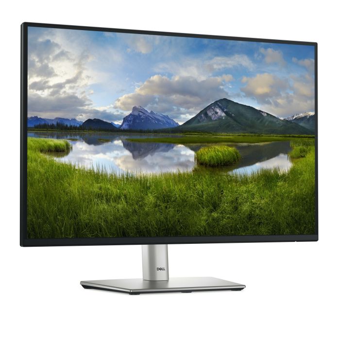DELL-P2425