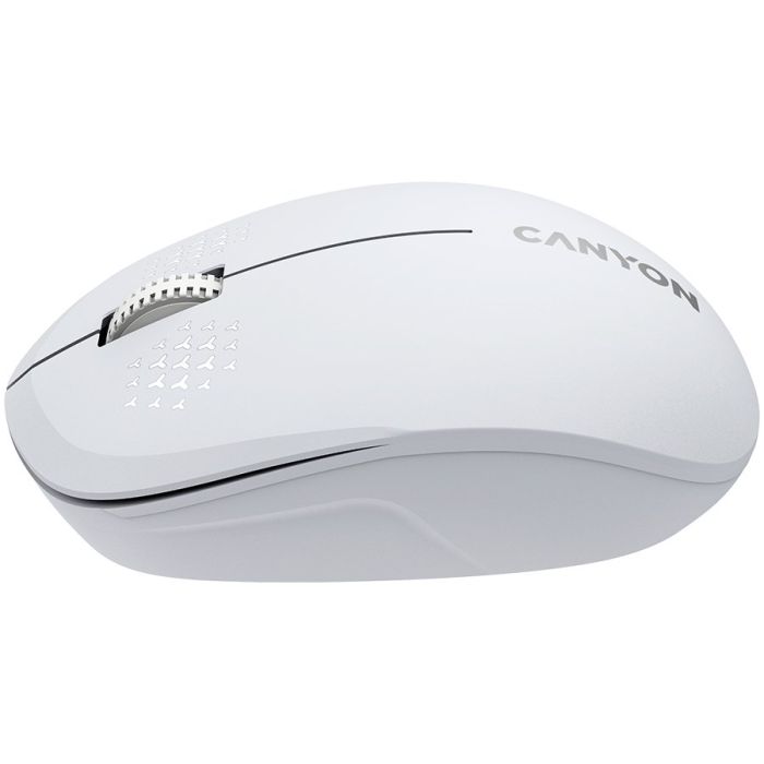 CANYON-MW-04