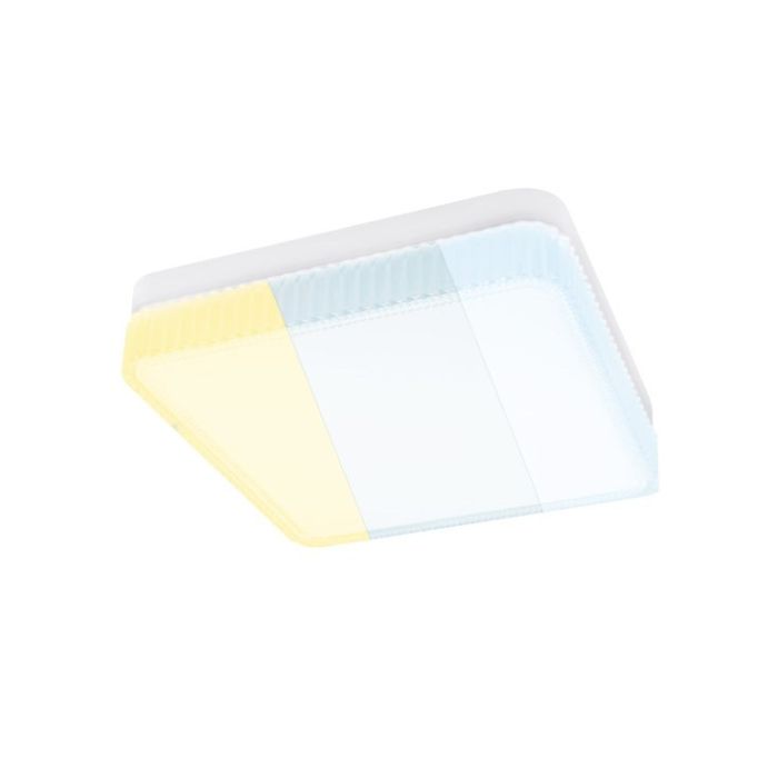 LPF-KR-P-24-CCT