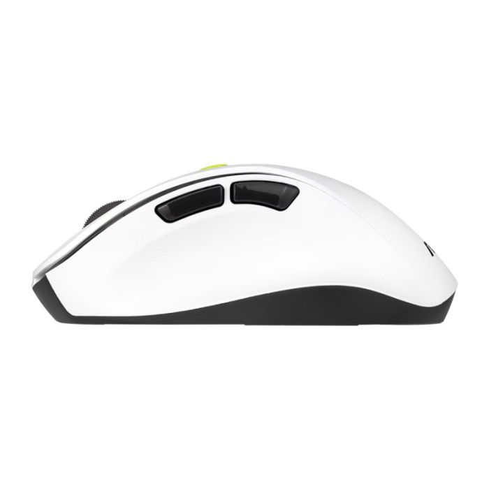 ASUS-MD105-BELO