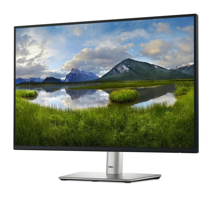 DELL-P2425