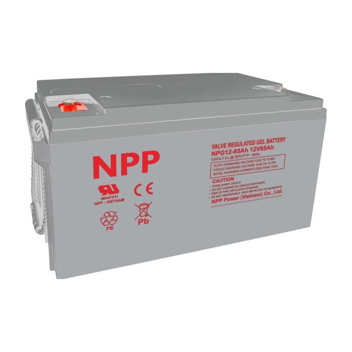 NPP-NPG12V-65AH