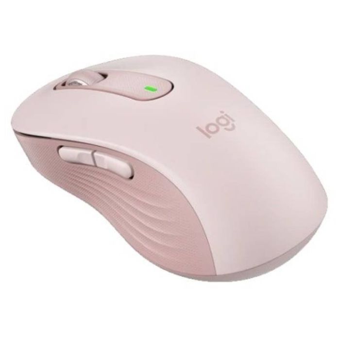 MIS01793