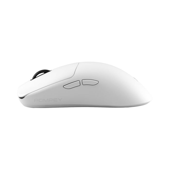 WHITE-SHARK-7012