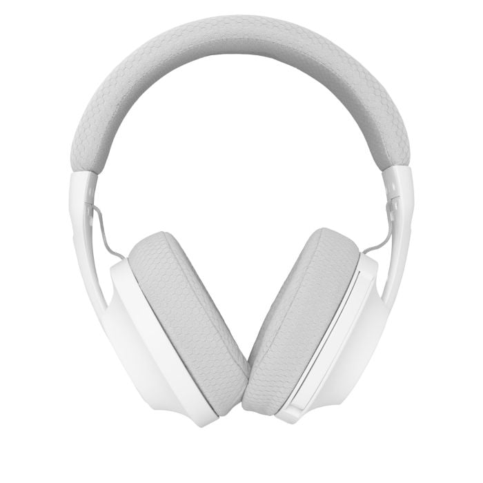 WHITE-SHARK-6299