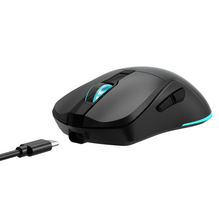 WHITE-SHARK-BARACUDA-BGM-121-BLACK