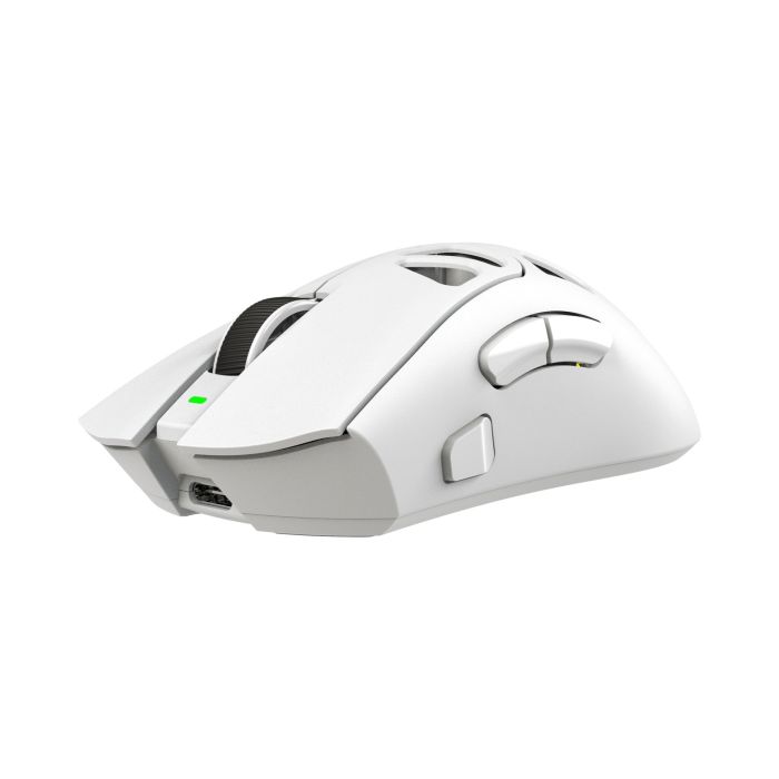 WHITE-SHARK-6376