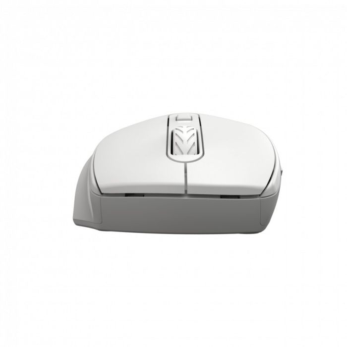 CNE-CMSW20W