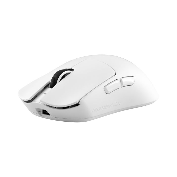 WHITE-SHARK-7016