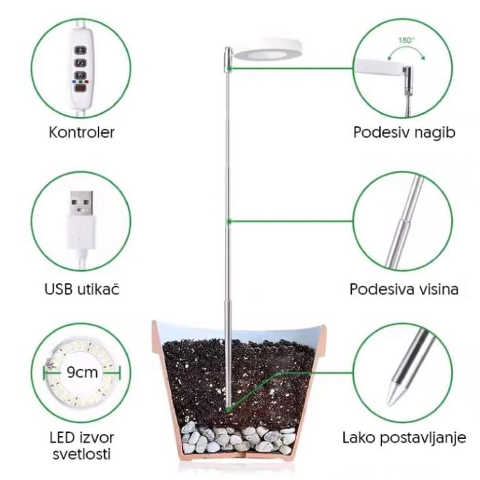 LB-RGS-01-RBY