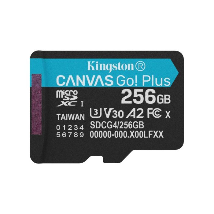 KINGSTON-256GBSP
