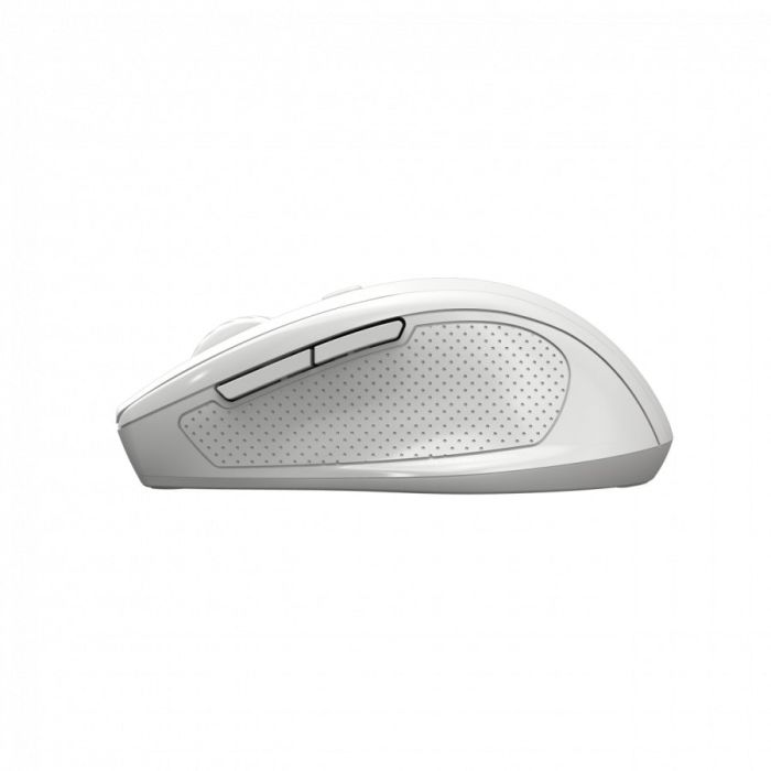 CNE-CMSW20W