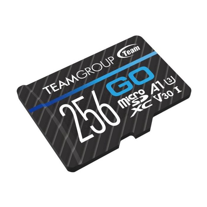 TEAM-GROUP-TGUSDX256GU303