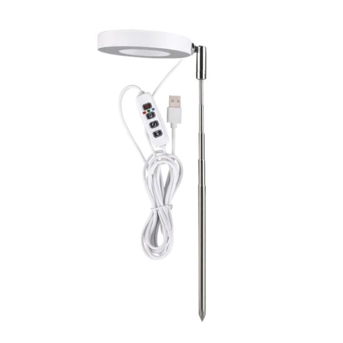 LB-RGS-01-RBY