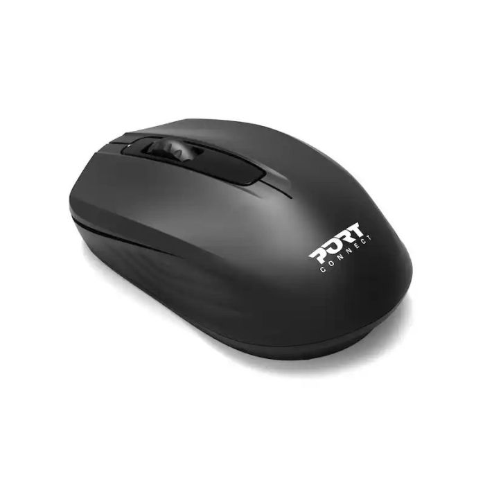 PD-BUDGET-MOUSE