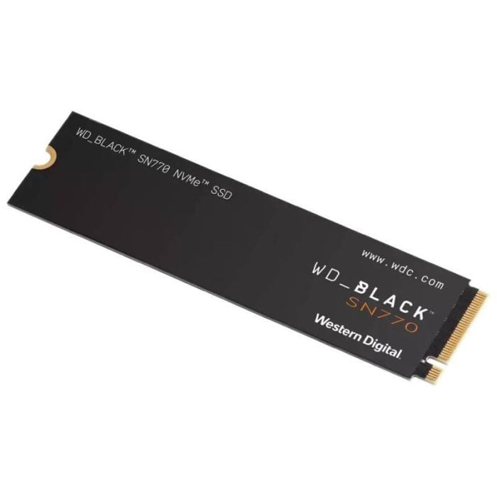 WDS250G3X0E