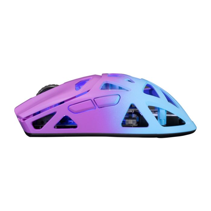 WHITE-SHARK-WGM-5019-BLUE