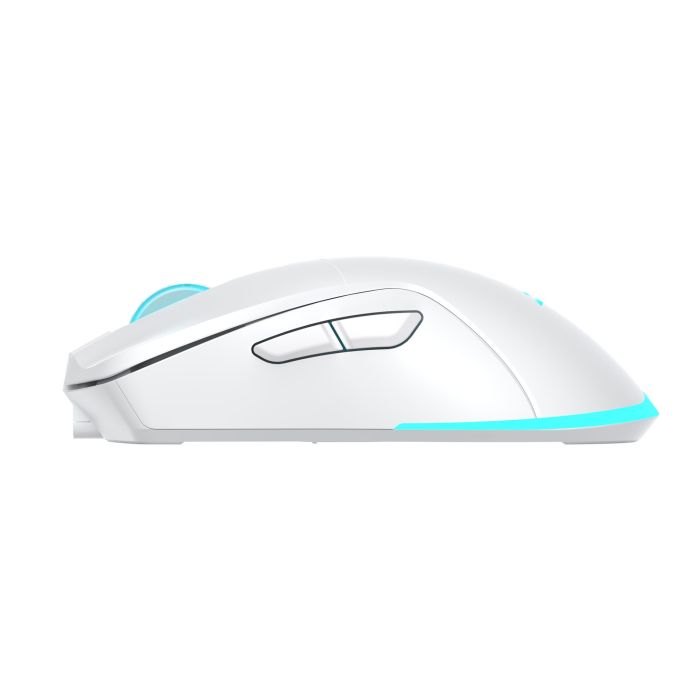 WHITE-SHARK-BGM-122-WHITE