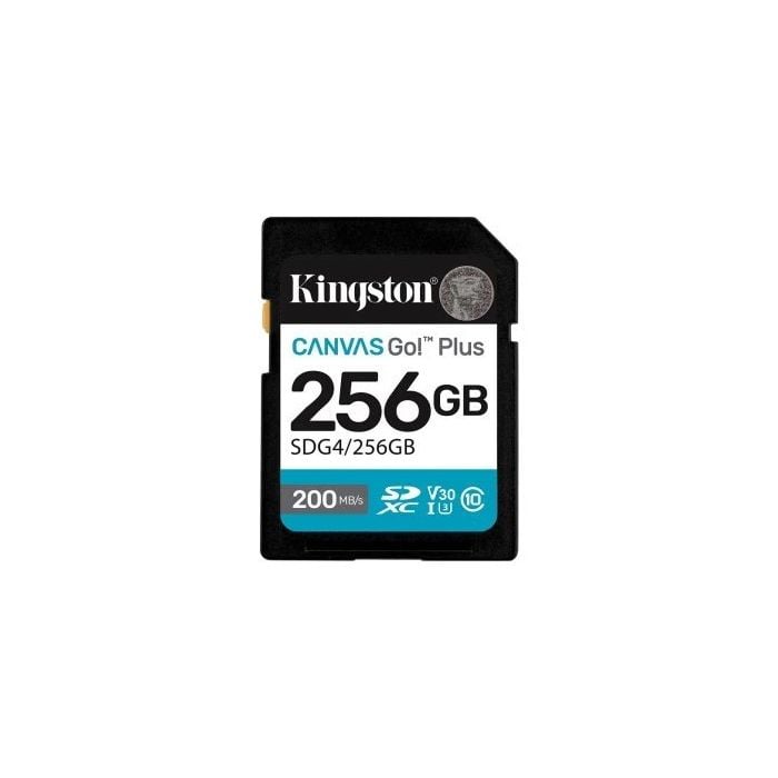 KINGSTON-52197