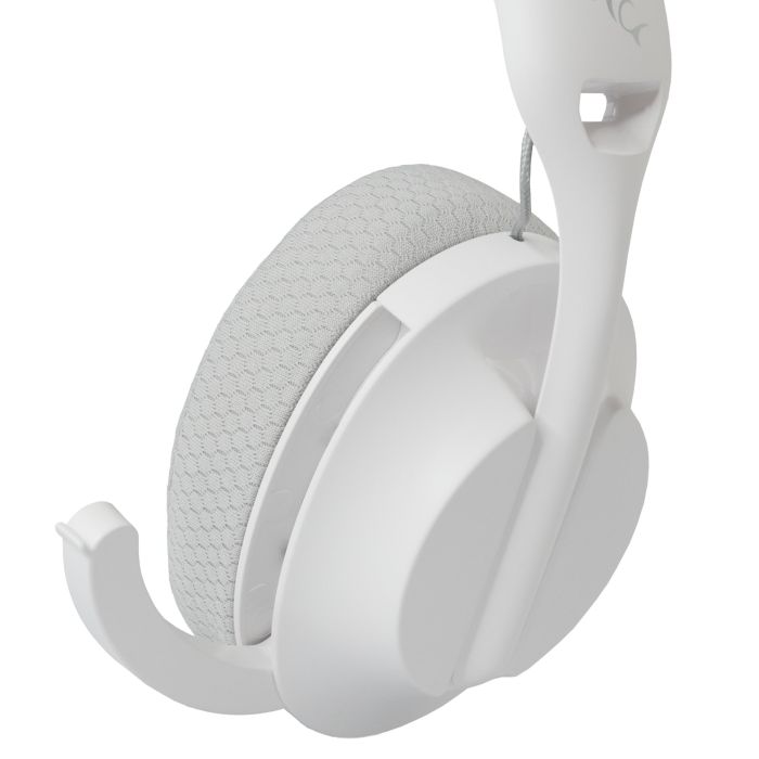 WHITE-SHARK-6299