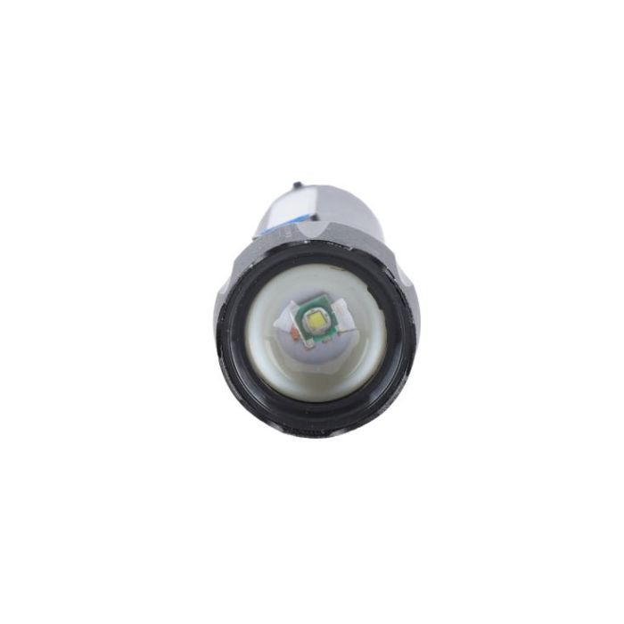 PL4204
