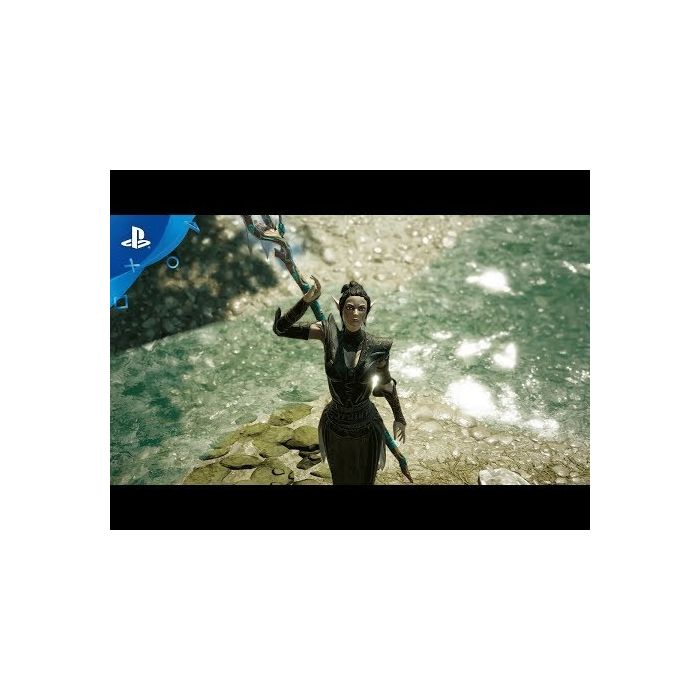PS4 Divinity: Original Sin 2