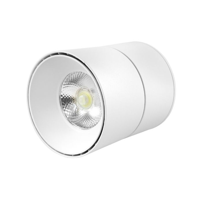 LED nagibna lampa 20W dnevno svetlo LDL-ND2-20/W-WH