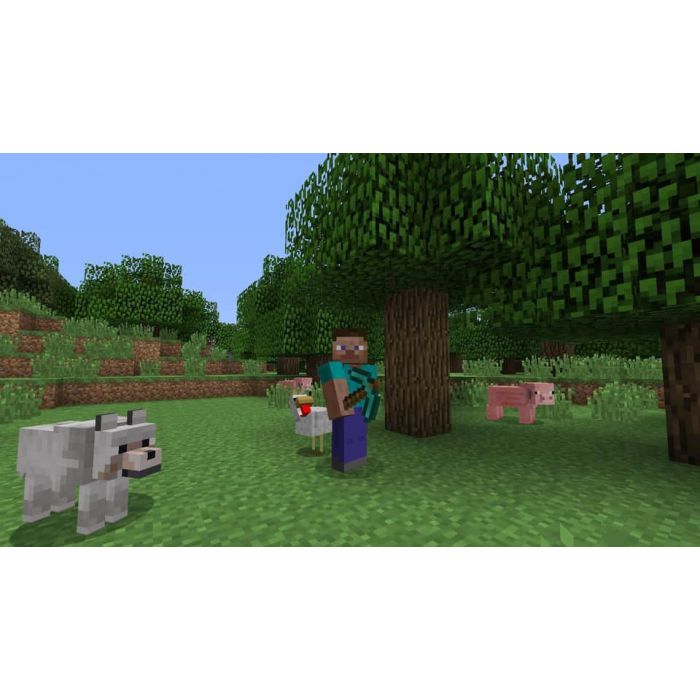PS4 Minecraft