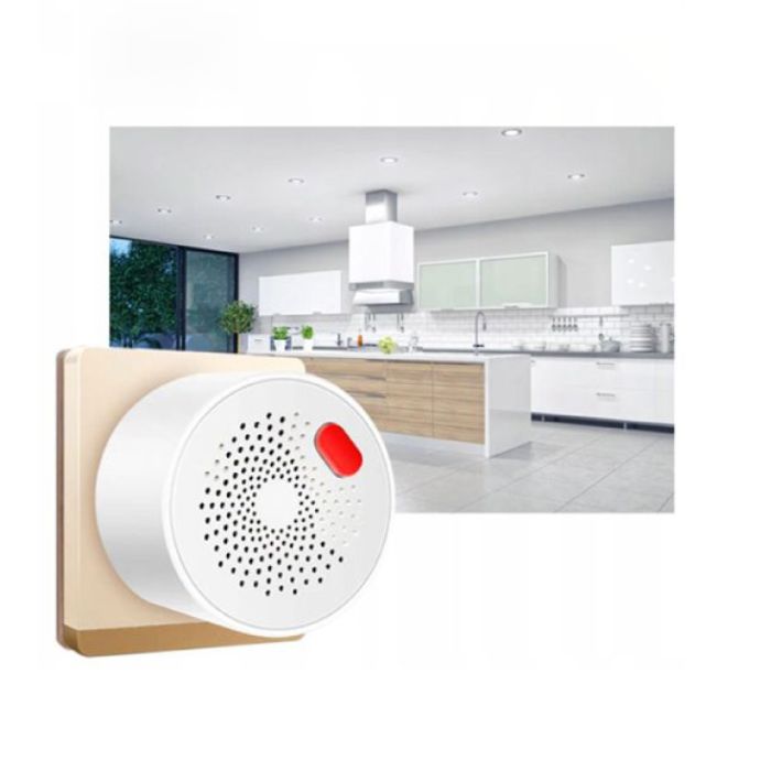 Tuya Wi-Fi smart senzor gasa WFS-GS400A