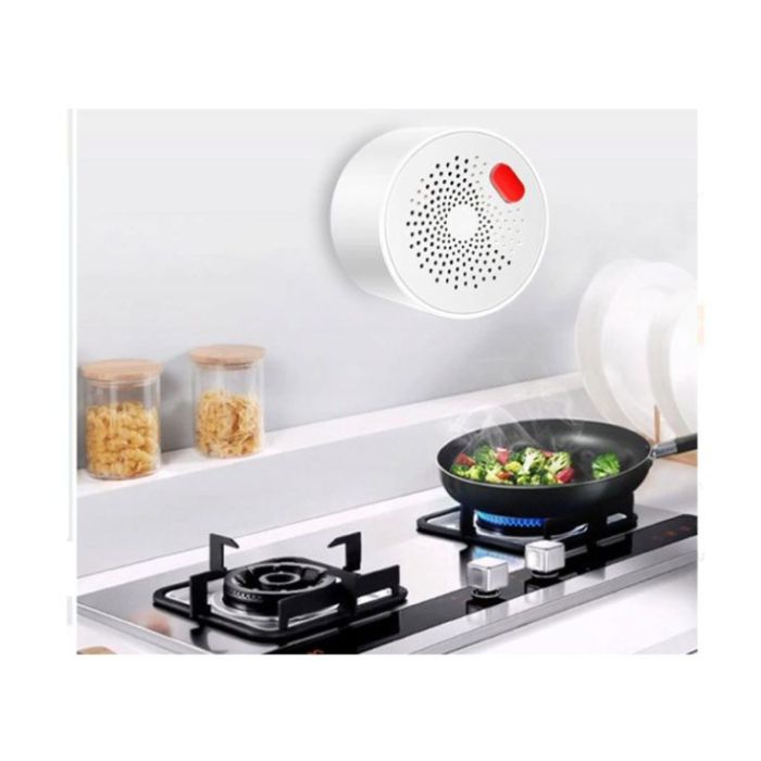 Tuya Wi-Fi smart senzor gasa WFS-GS400A