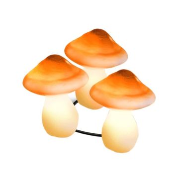 ML-DS006