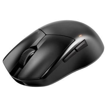 BM007