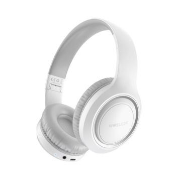 TWS100B