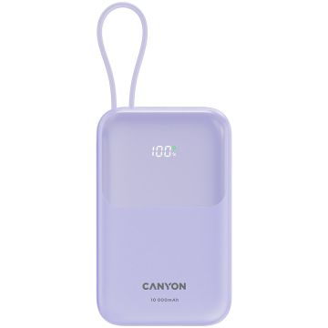 CNS-CPB101PU