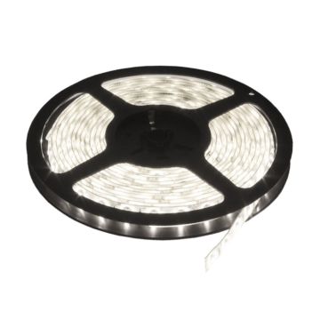 LED traka 120xLED dnevno svetlo LTR2835/120W-12S