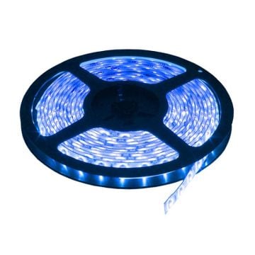 LED traka plava LTR2835/60B-12