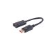 Adapter DisplayPort 1.4, HDMI-A utičnica, 4K