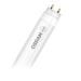 OSRAM LED cev 8W hladno bela 60cm G13 sa kratkospojivim starterom