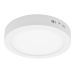 Prosto okrugli nadgradni LED panel 24W dnevno svetlo LNP-O24/W