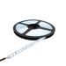 Prosto LED traka 12V 6400K 960lm 120 LED/m IP20