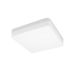 PROSTO LED plafonjera LPF-UF/P-24/CW - pravougaona, 24W, hladno bela, bela